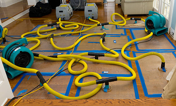 Professional Flood Damage Restoration technician working in Westport, IN